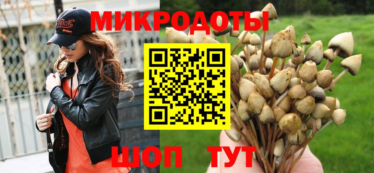 Псилоцибиновые грибы MAGIC MUSHROOMS Вичуга